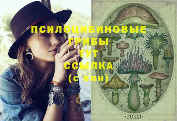 мескалин Бронницы