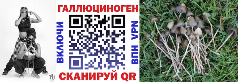 Псилоцибиновые грибы Cubensis  Нелидово 