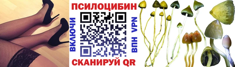 Псилоцибиновые грибы мицелий Нелидово